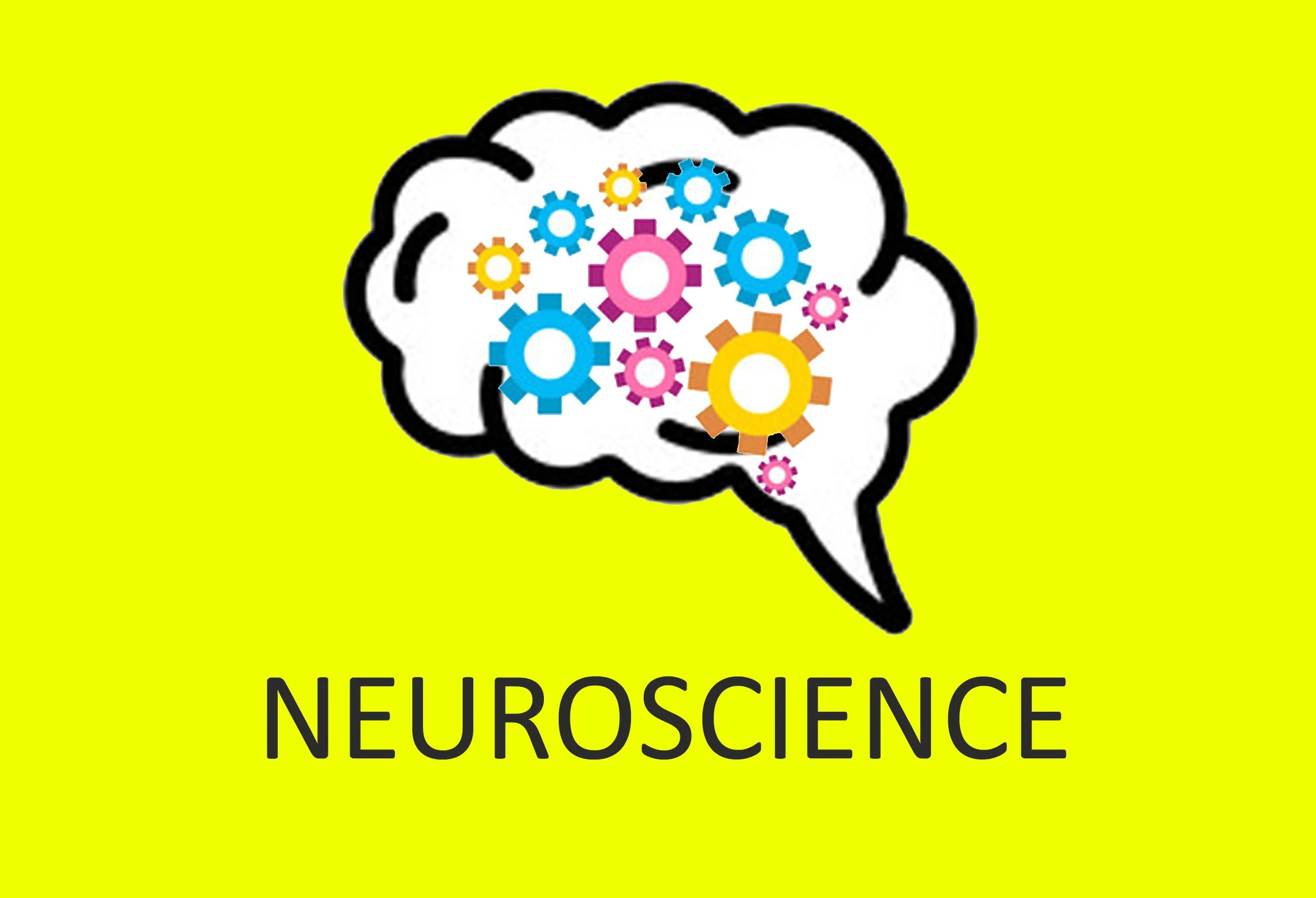 Neuroscience and architecture 