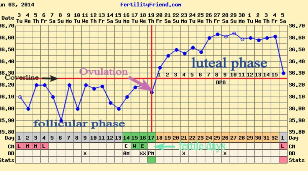 Non Bbt Chart Examples