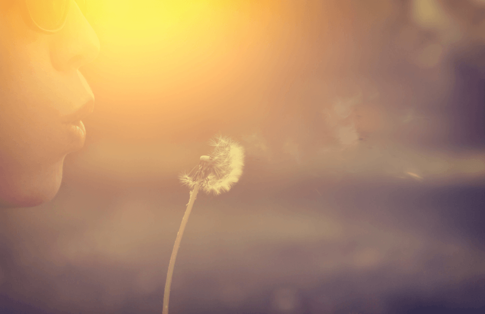 Fertility Acupuncture