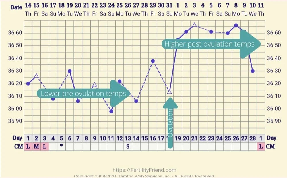 Part 2 Help Please! Am I Ovulating? — Embrace Acupuncture