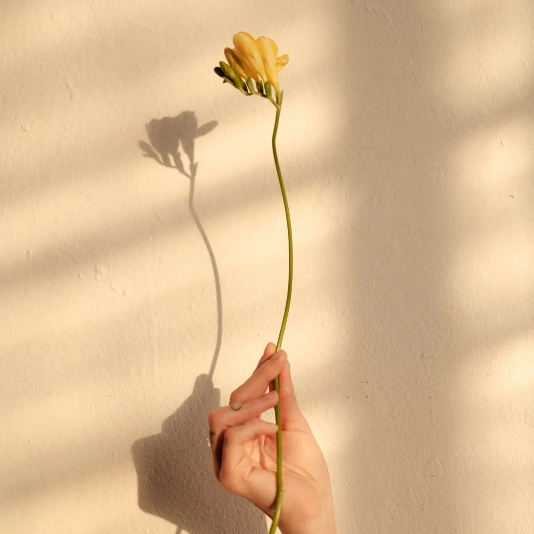 Embrace Acupuncture for stress and anxiety