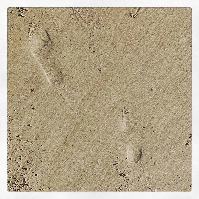 Some sandy textures to help you make it to the weekend 😉
🐠🐚 #byronbay #beach #sunshine #sand
#travel #holidays #morning #relax
#fresh