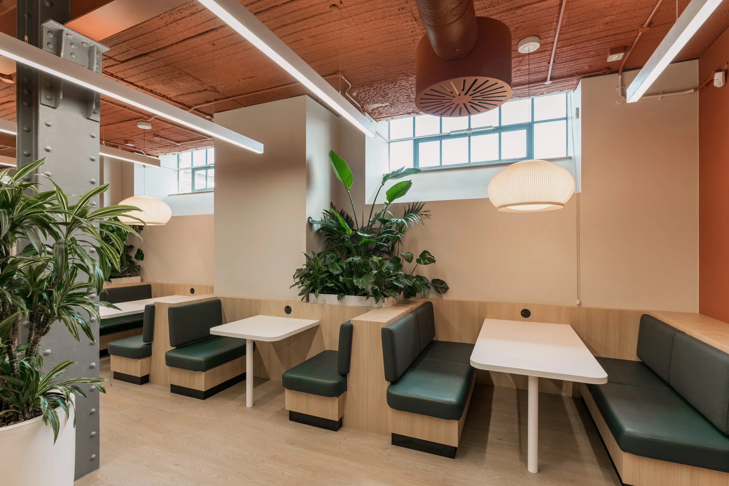 04 20240625_Springer Nature_©Nick Cooney_0353.jpg