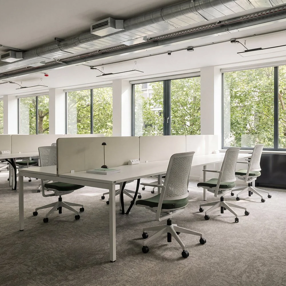 Open Plan 1.jpg