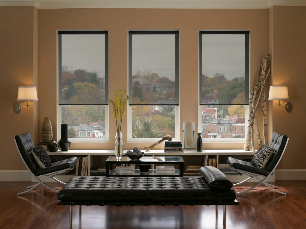 Roller-Blinds-Adelaide-Background-1024x768.jpg