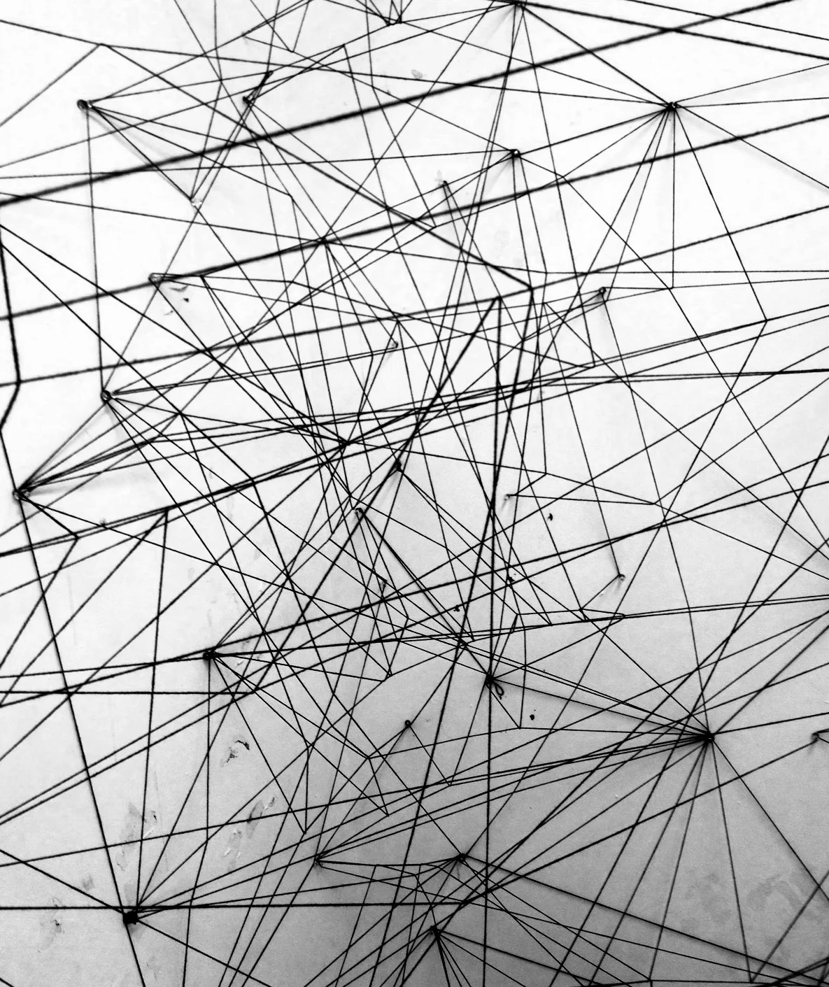 Web2.jpg