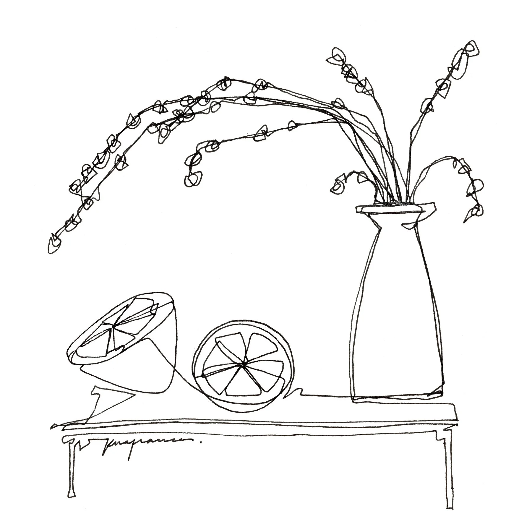 One Line Ink Drawing - plant and citrus three (single).jpg