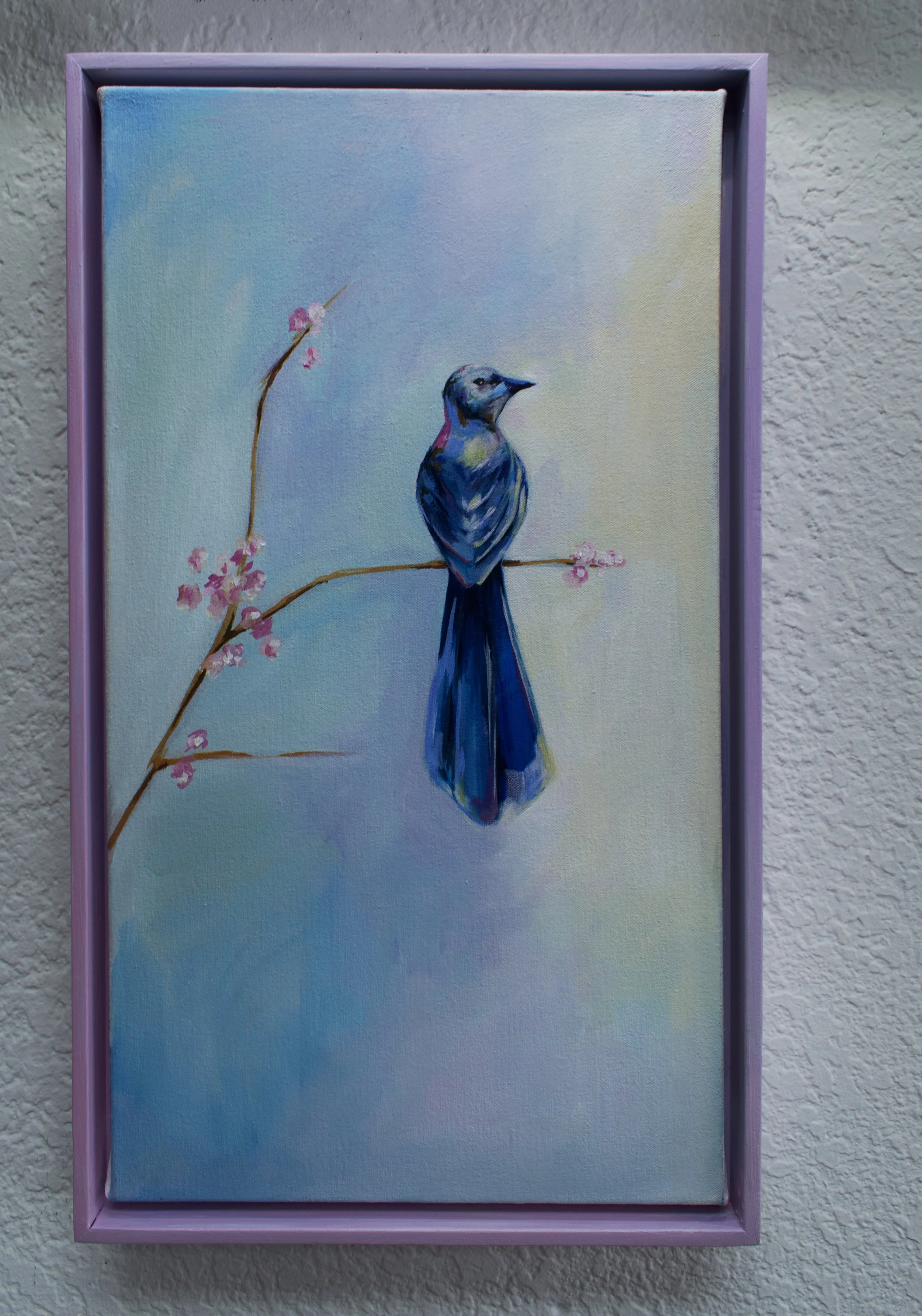 Scrub Jay on Branch - with background - framed.jpg