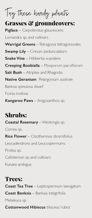 Designing unique and biodiverse gardens; showcasing our native flora with a focus on nature connection