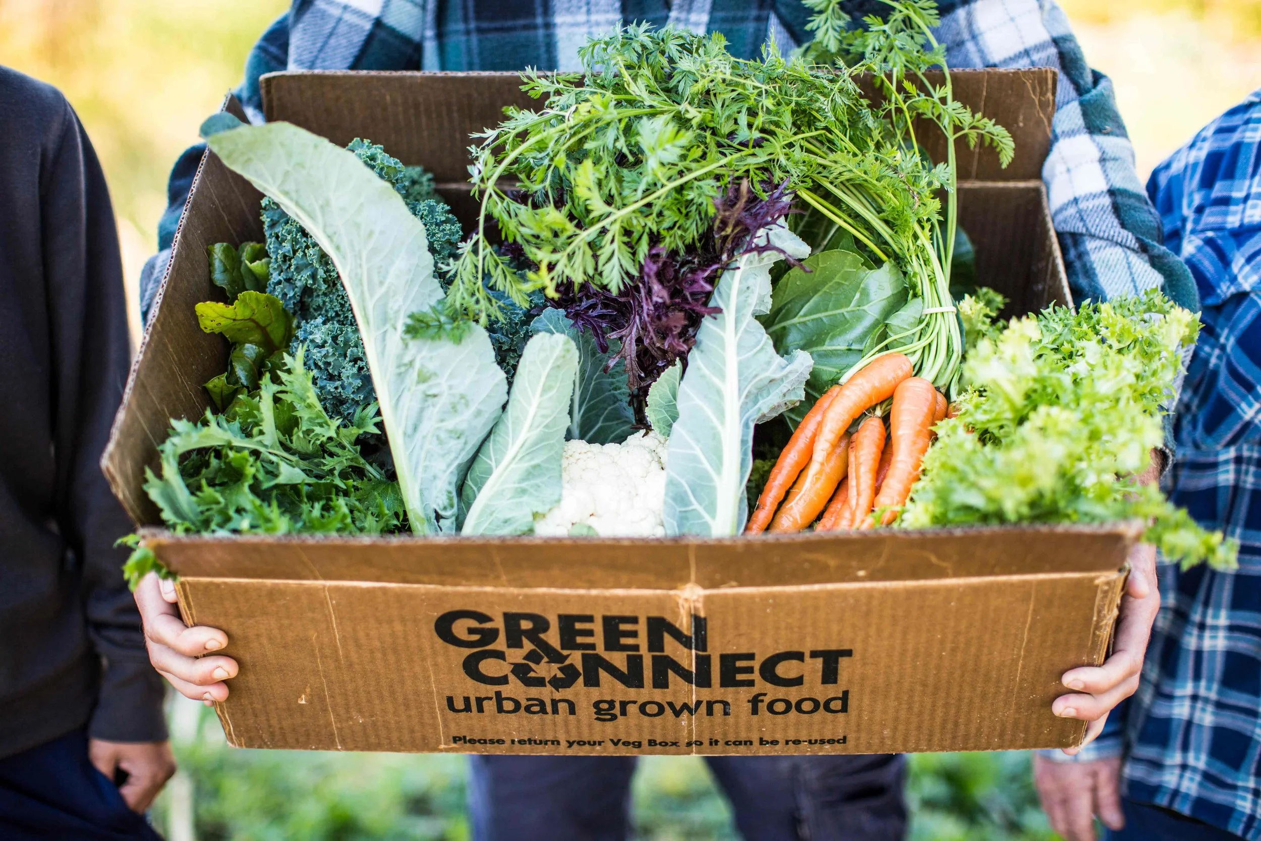 Green-Connect.jpg