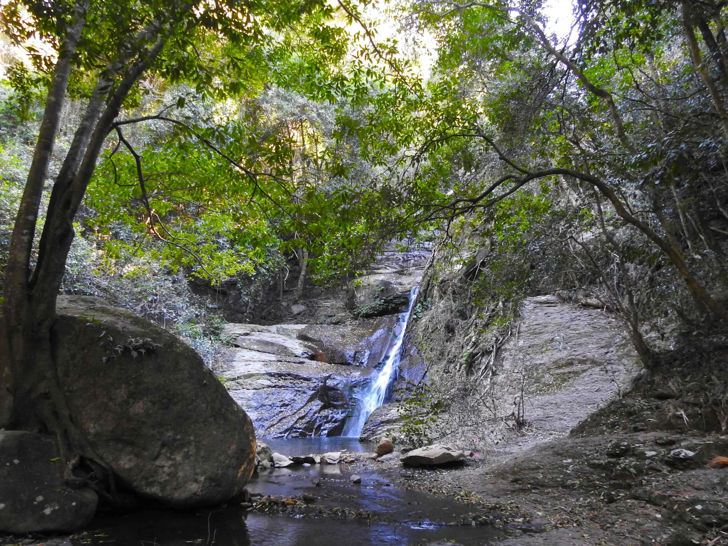 CASCADES-WALK-.jpg