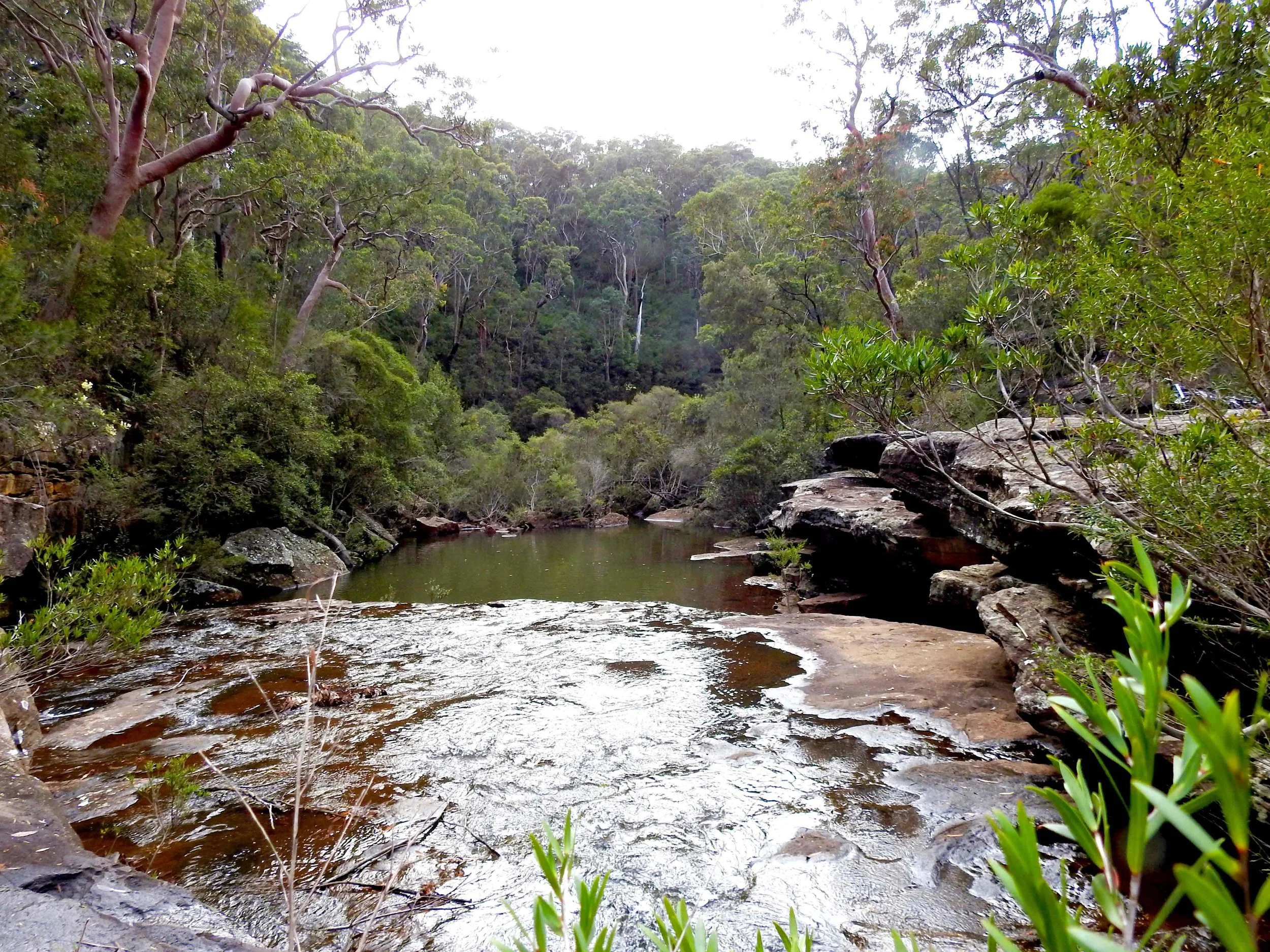 DHARAWAL-3.jpg