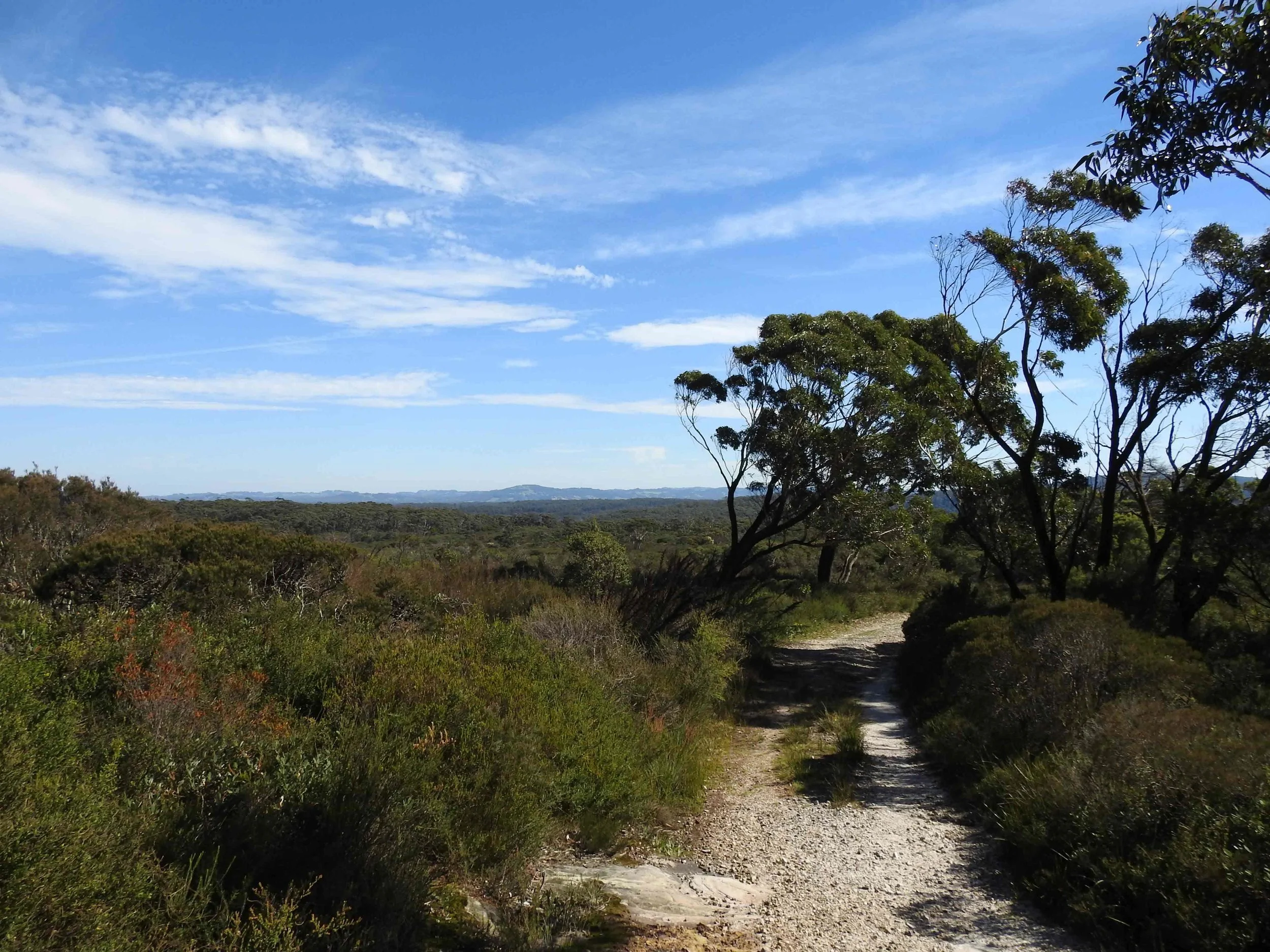 GRIFFITHS-TRAIL-.jpg