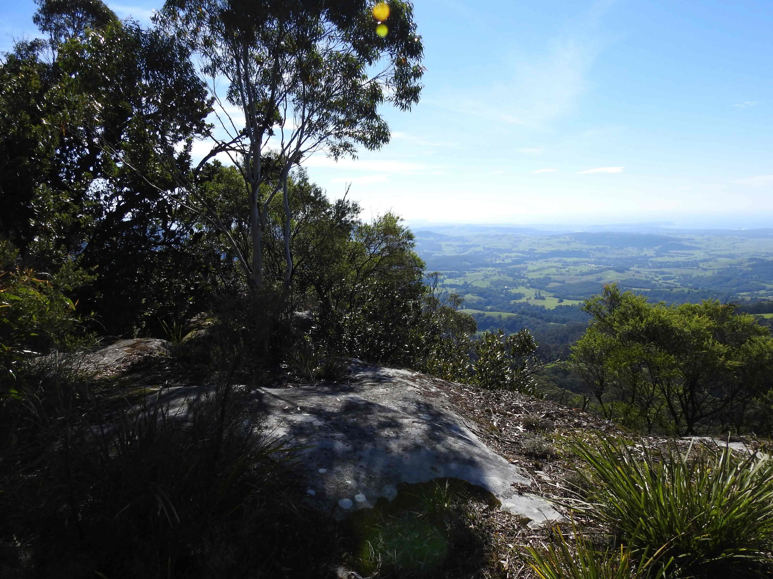 GRIFFITHS-TRAIL-2.jpg