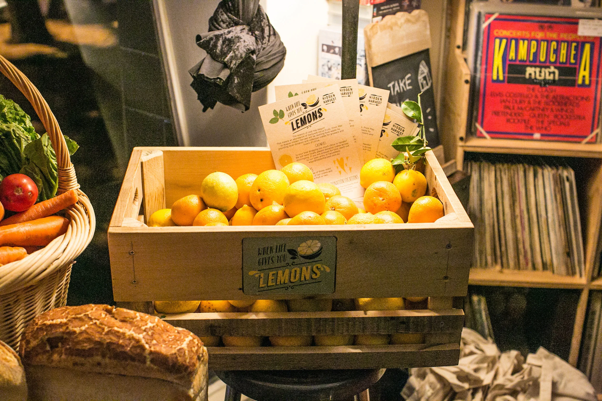 Hidden-harvest_lemons.jpg