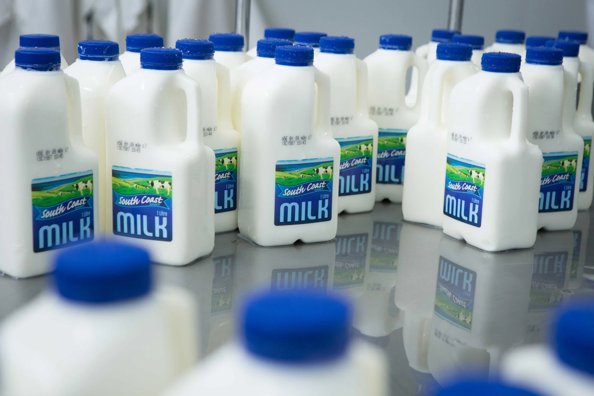 South-Coast-Dairy-9.jpg