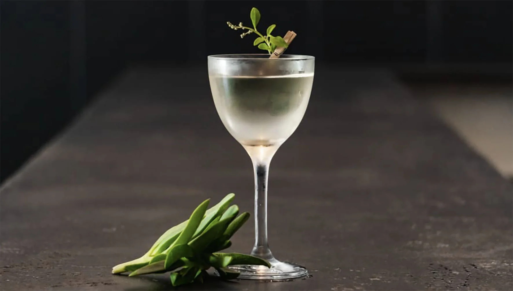 births-and-deaths-cocktail.jpg