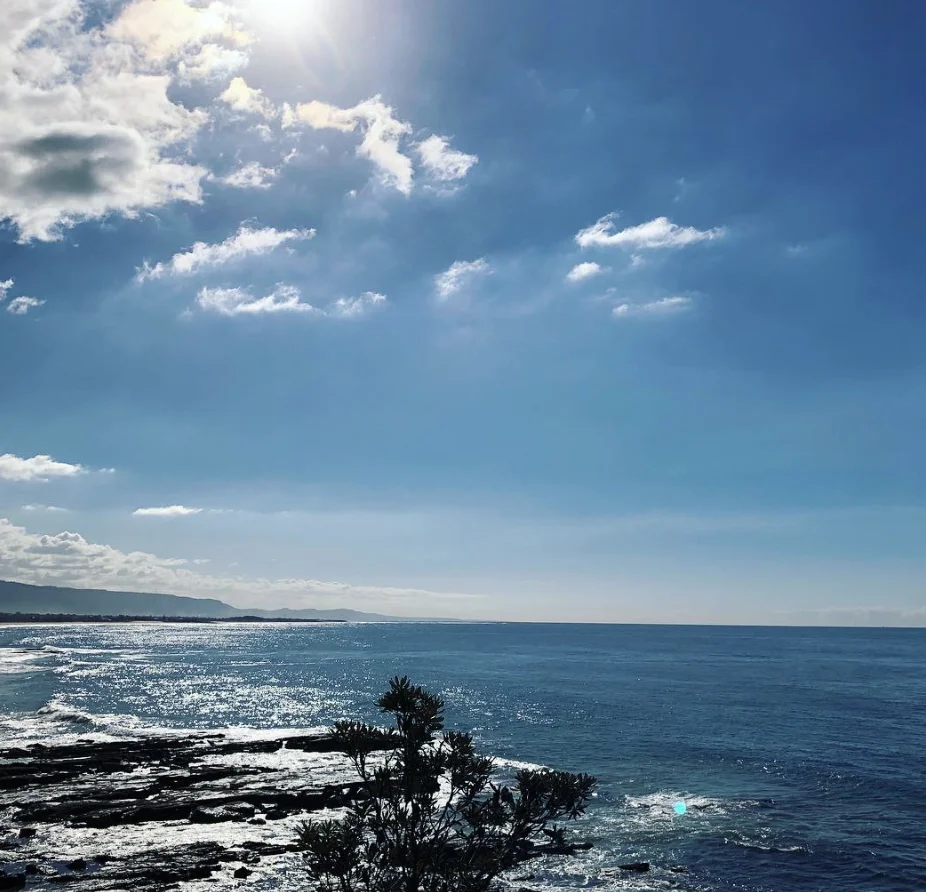 illawarra coast coal coast cov.jpg
