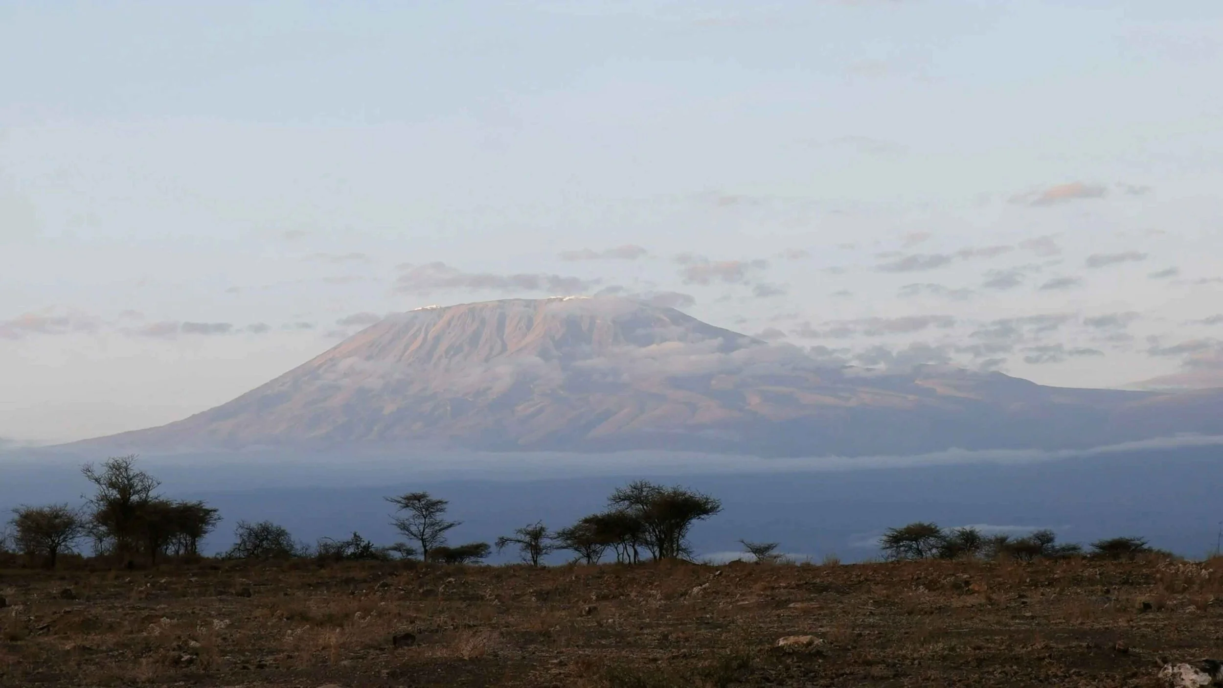 What's-Your-Kilimanjaro-V2-TITLES-4K.00_00_27_14.Still002.jpg