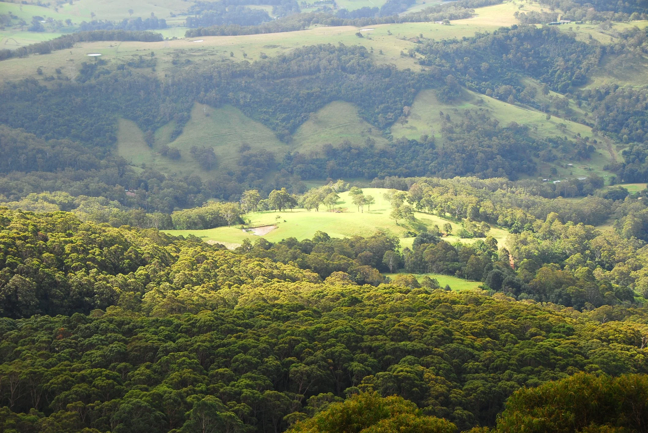 Southern Highlands