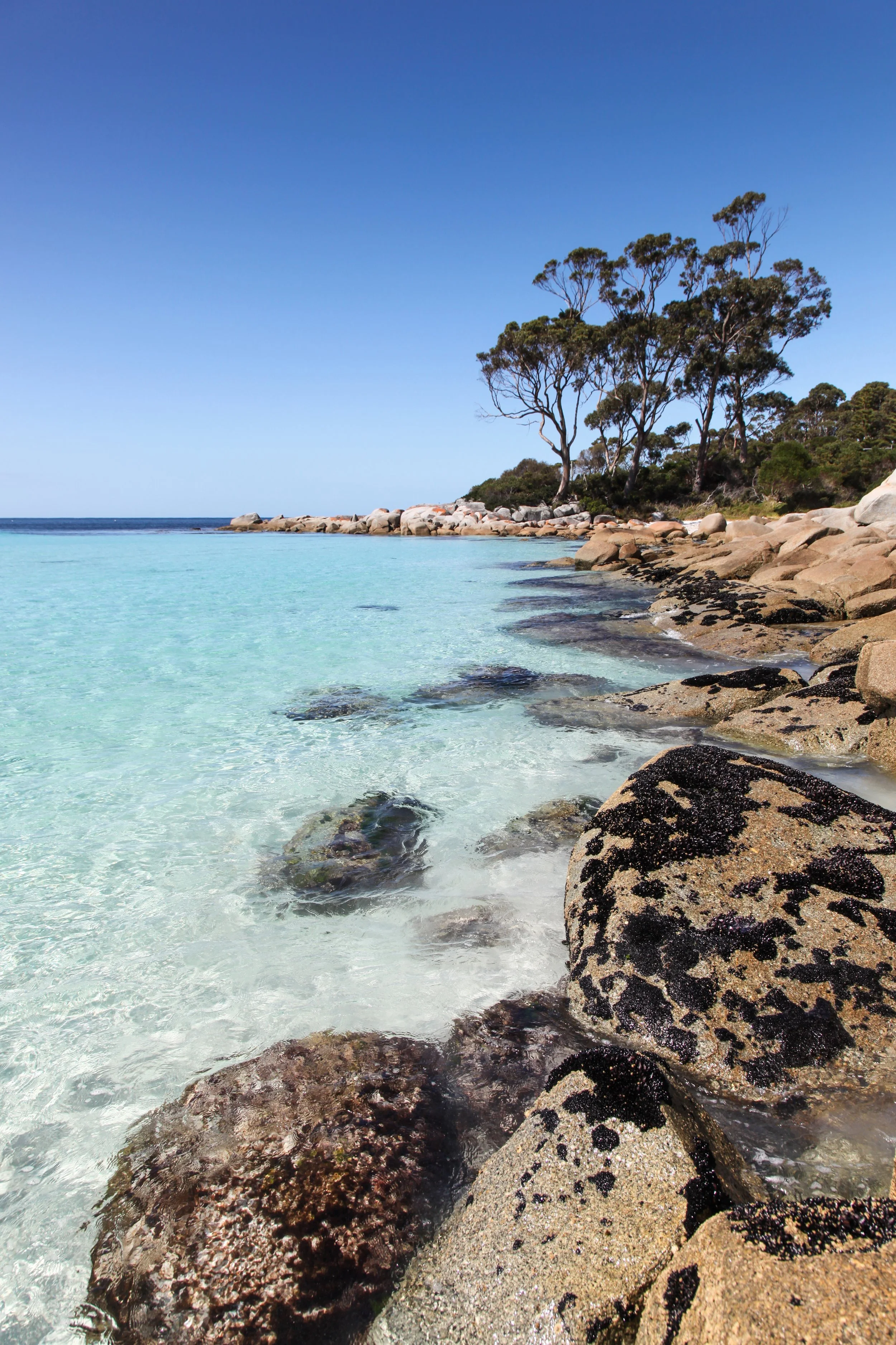 Travel Tasmania