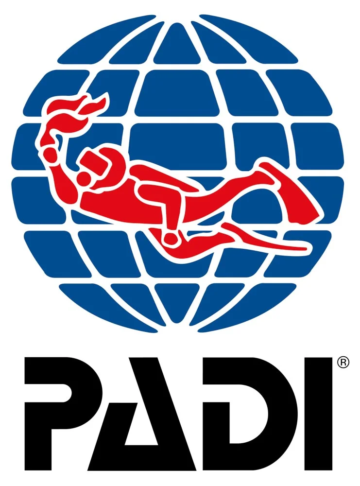 web-Padi_Original.jpg