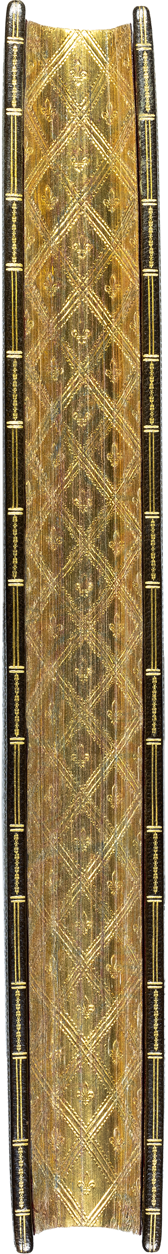 Montaigne-essais-1595-lortic-binding-reliure-olive-morocco-gilt-edge.png