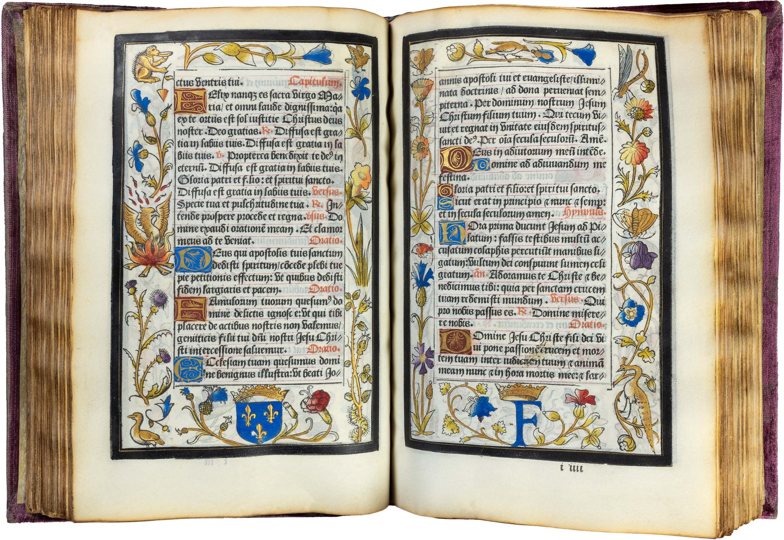 geoffroy-tory-printed-book-of-hours-illuminated-vellum-22-october-1527-prince-dessing-villeneuve-horae-bmv-70.jpg