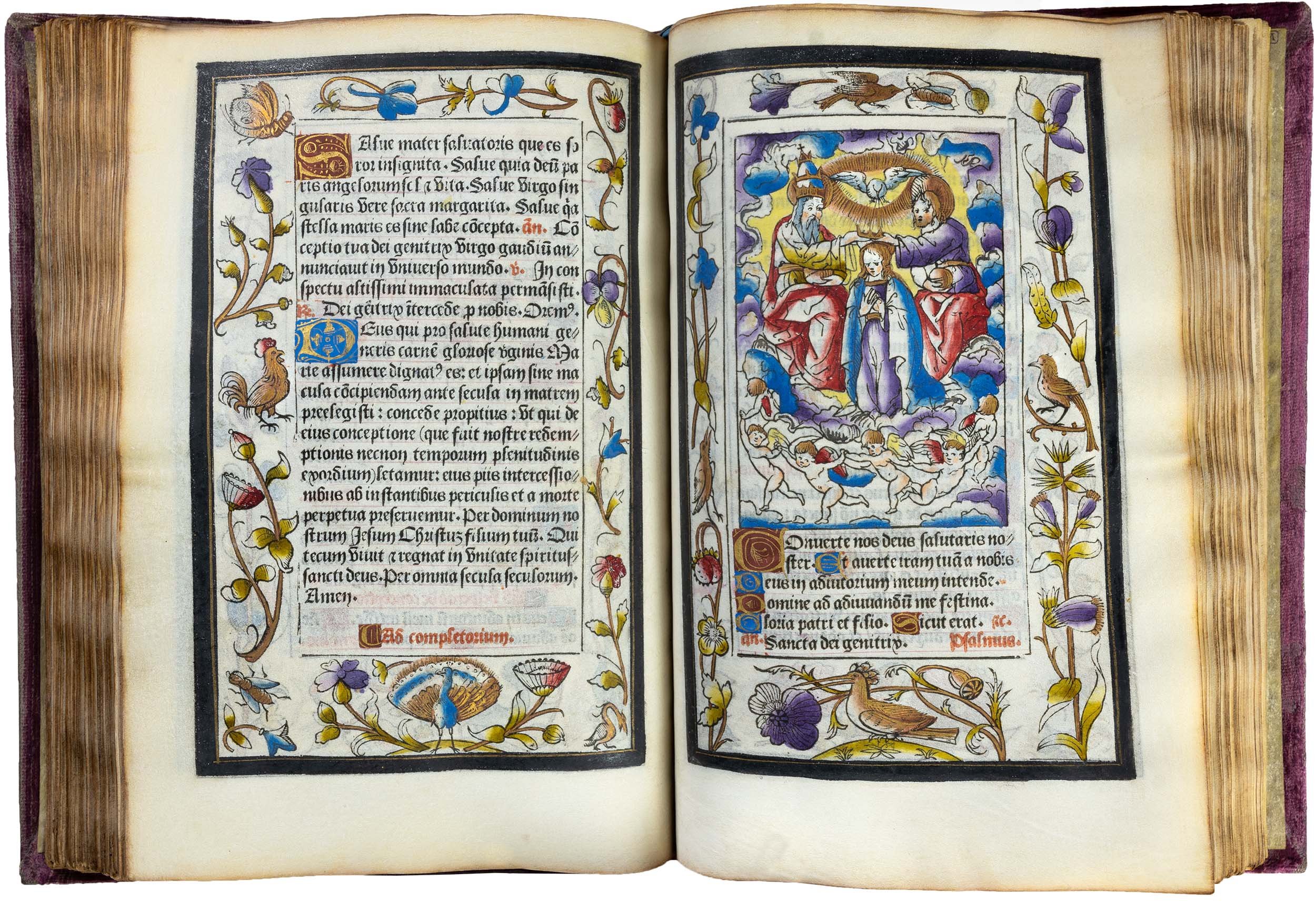 geoffroy-tory-printed-book-of-hours-illuminated-vellum-22-october-1527-prince-dessing-villeneuve-horae-bmv-89.jpg