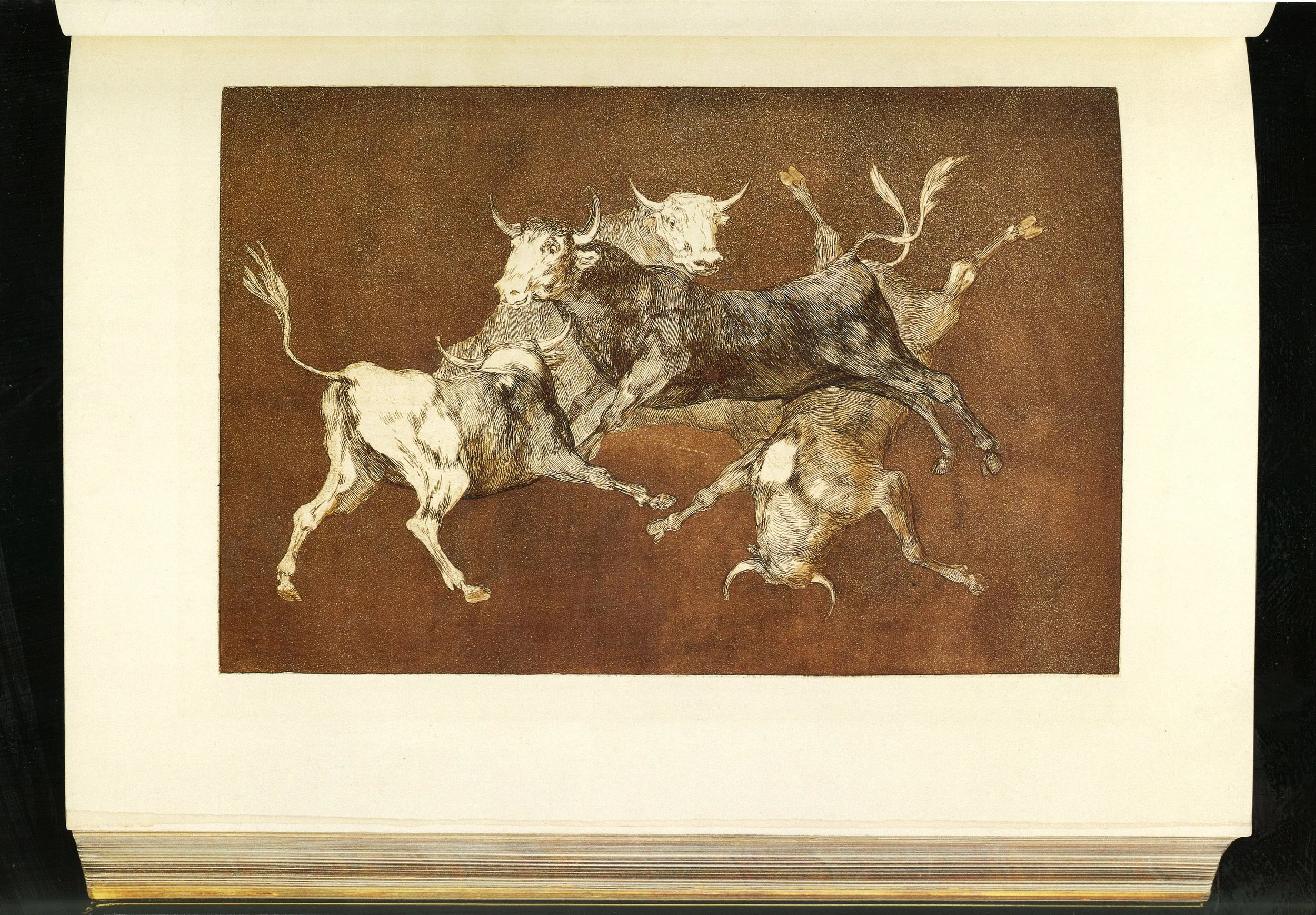 Goya-l-art-disparates-marius-michel-inlaid-binding-luxury-edition-prince-demidoff-etchings-vellum-avant-la-lettre-01.jpg