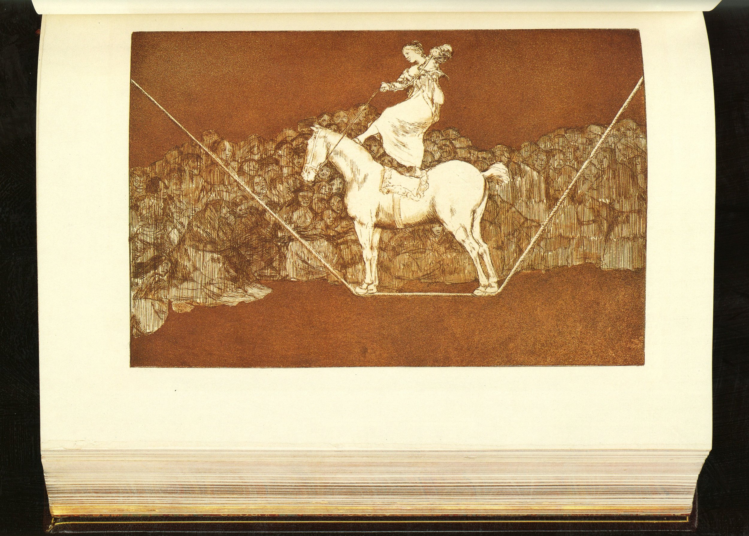 Goya-l-art-disparates-marius-michel-inlaid-binding-luxury-edition-prince-demidoff-etchings-vellum-avant-la-lettre-06.jpg