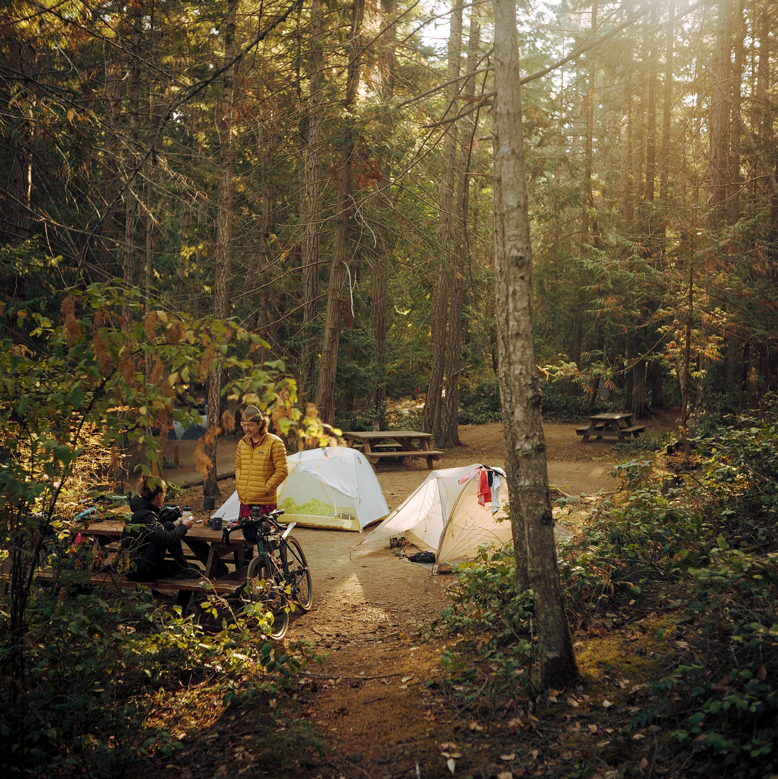 Alex Fleming Gabriola Island 10.jpg