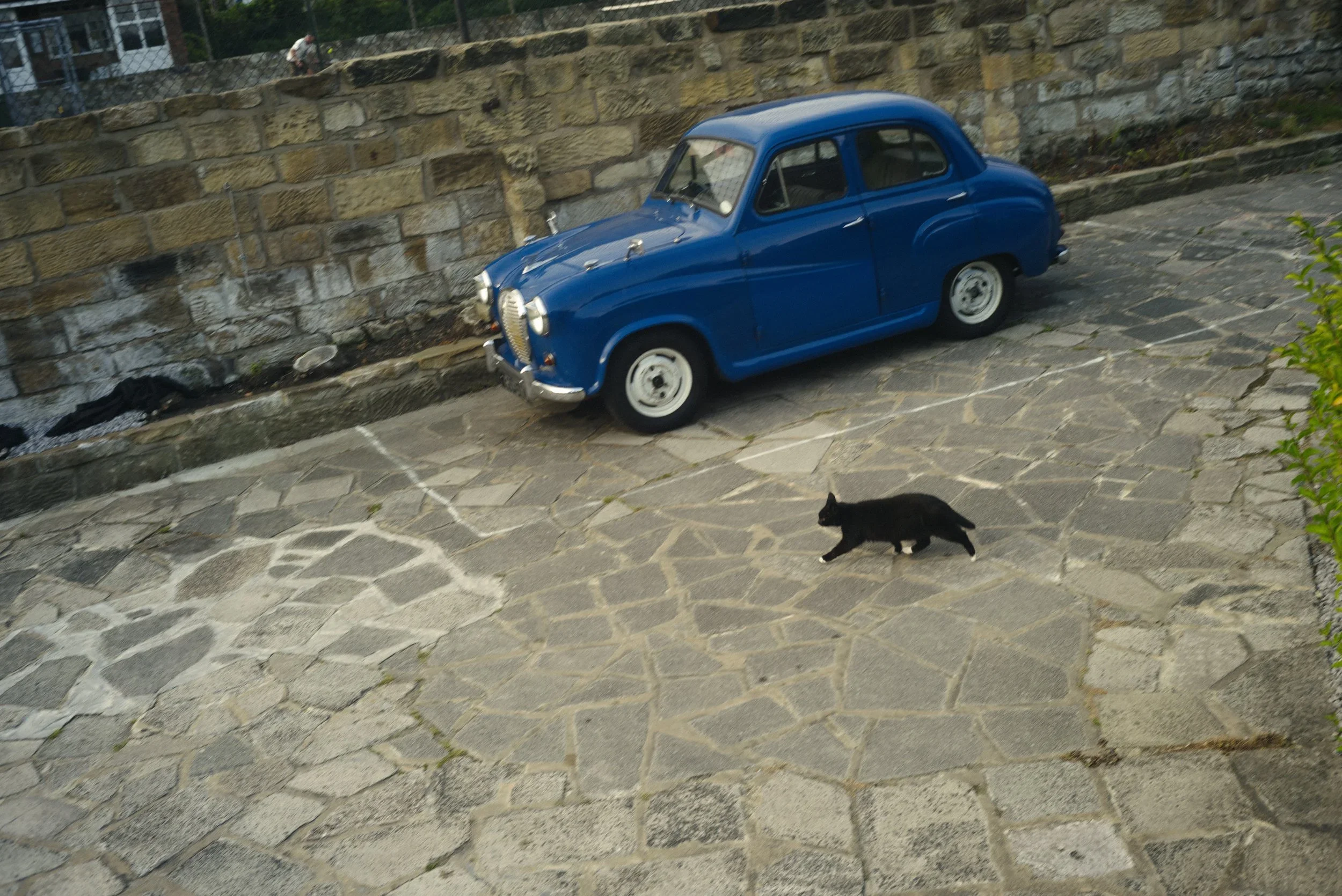 BlueClassicDriver.webp