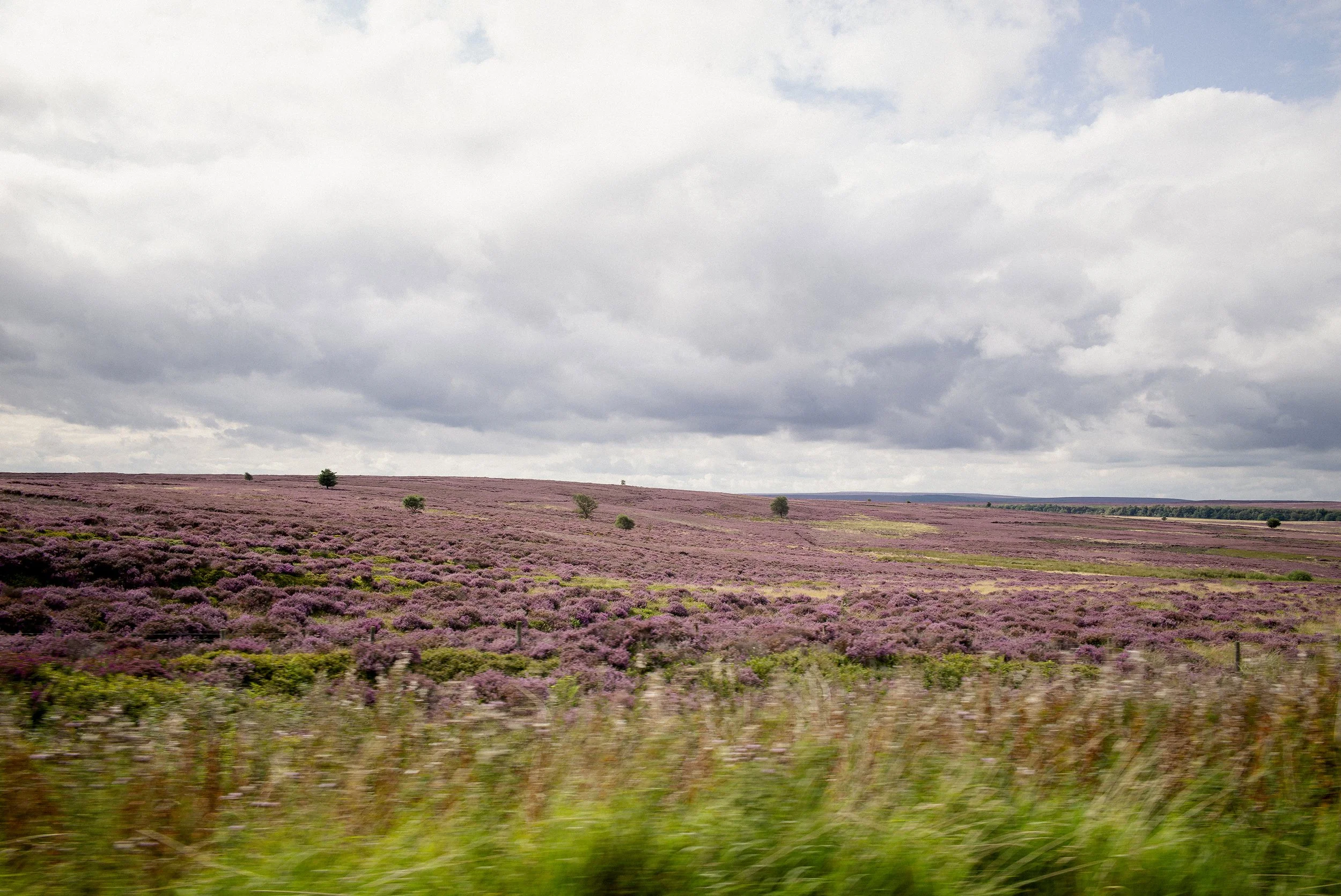 L1009357.jpg