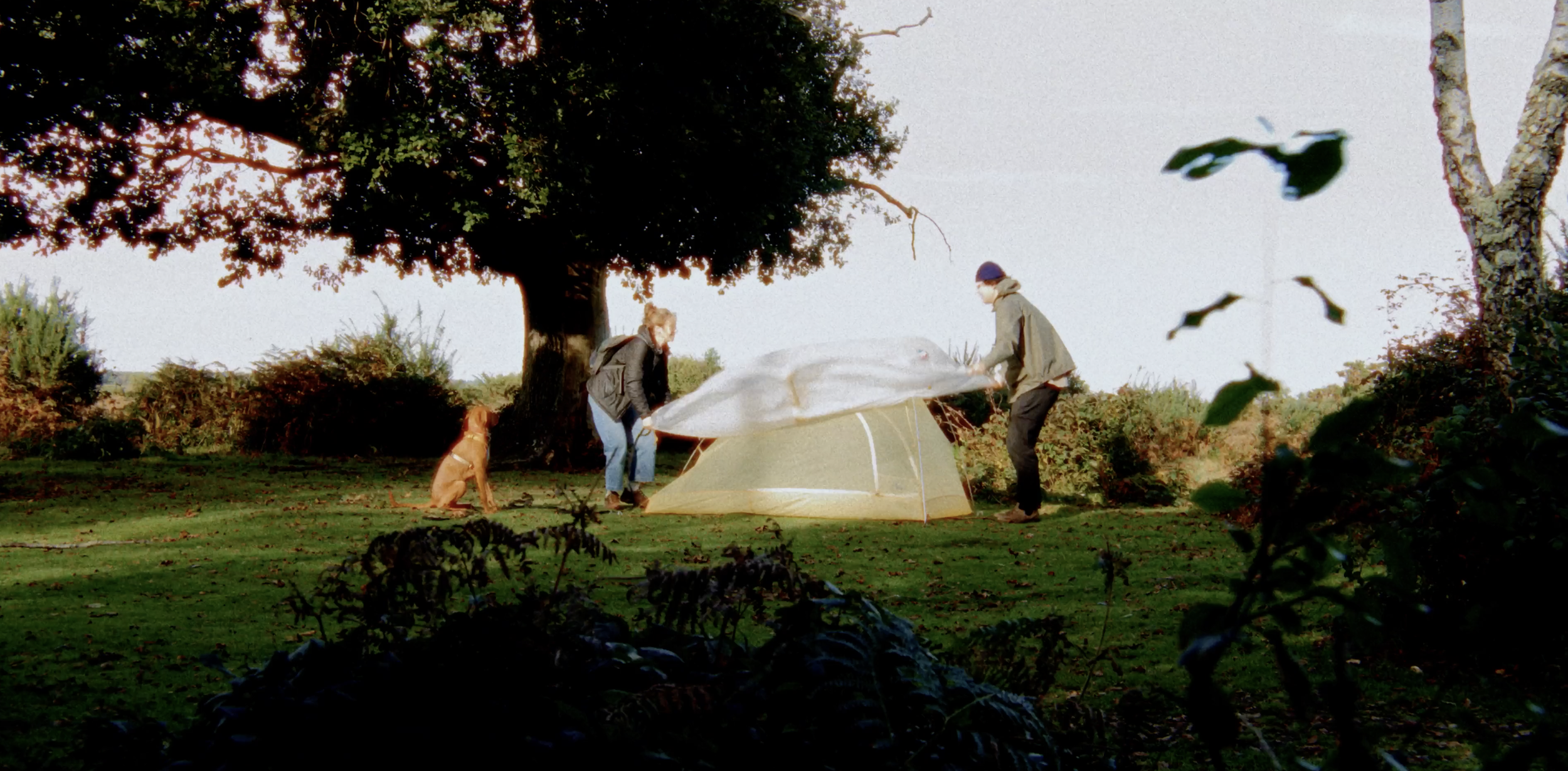 Two people setting up a tent outdoors in a grassy area surrounded by trees, with a dog sitting nearby.