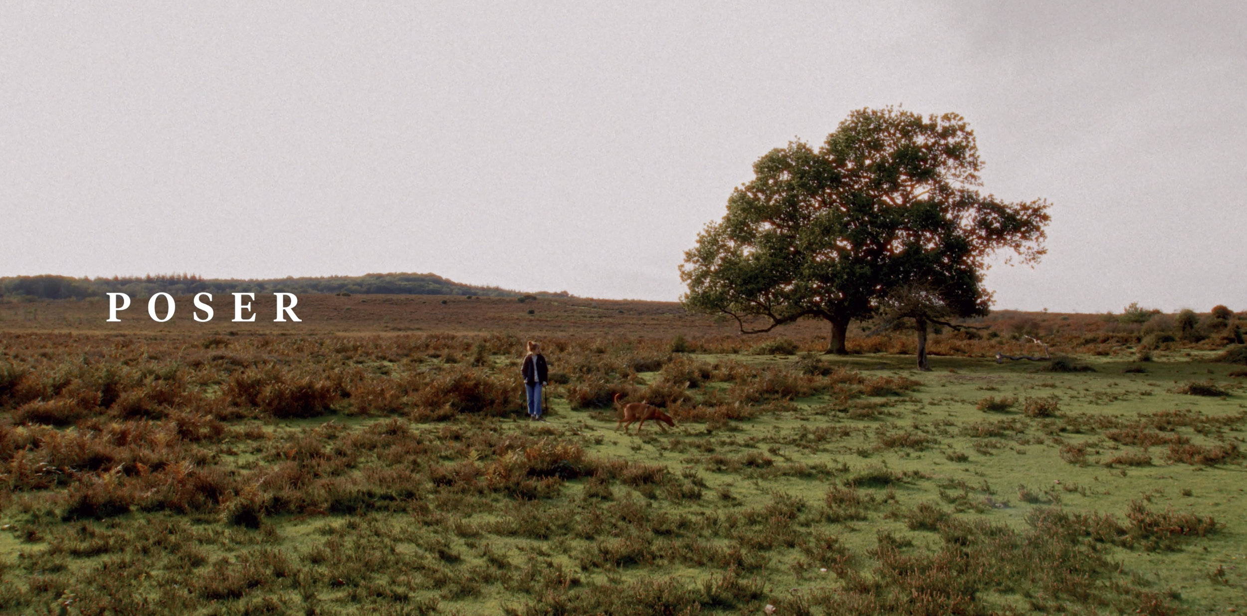 A person walking a dog in a grassy field with scattered bushes and a large tree, under a light overcast sky, with the word 'POSER' in white text on the left side.