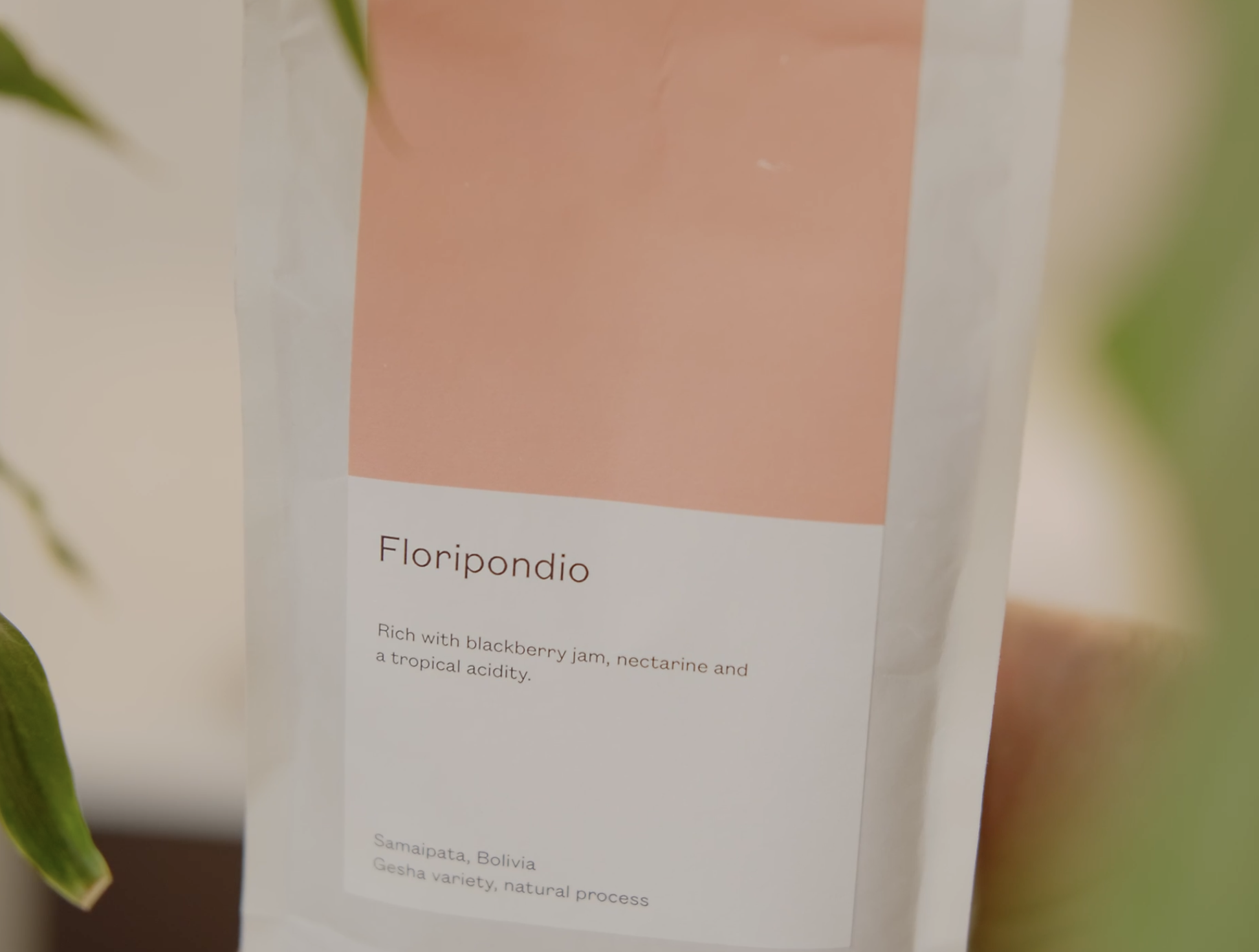 A plant label with the text 'Floripondio' and a brief description about a fruit with blackberry jam, nectarine, tropical acidity, and the Gesha variety from Samaipata, Bolivia.