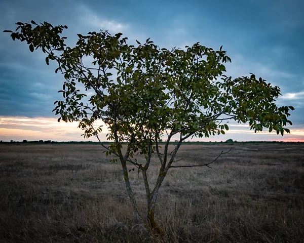 L1050317-HDR-2.jpg