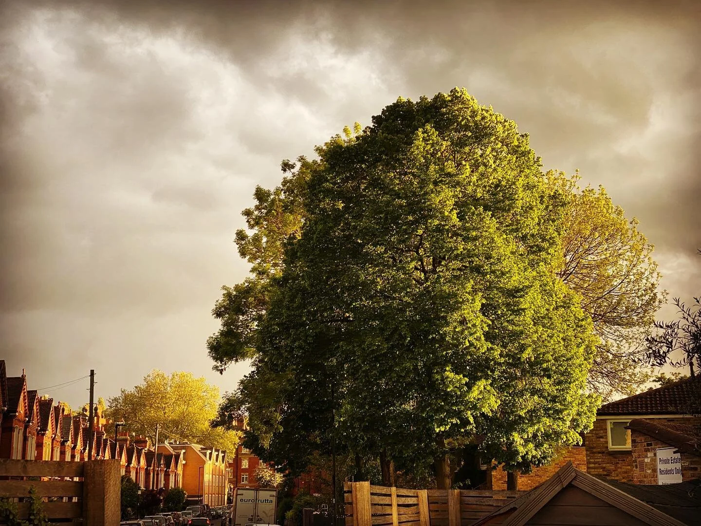 Beautiful light out tonight. Fingers crossed for cricket tomorrow. Any more rain...