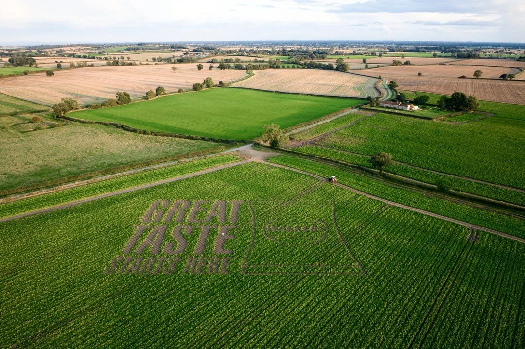 'Fro-back' Friday (if there is such a thing), to this stunt we pulled off, which I should have posted towards the end of last year. We spent a lovely week in the sun, flying drones, nutting/mapping/cutting/clearing out this football pitch sized crop 