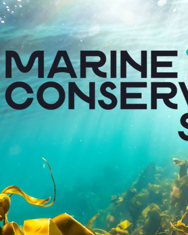 Proud to be a member of the Marine Conservation Society

Video and Photo Production
Urban, Rural, UK, Worldwide

Kelp---Credit-Alison-Moore
https://www.mcsuk.org

#photoproduction #videoproduction #productioncompany #serviceproduction #ukproductionco