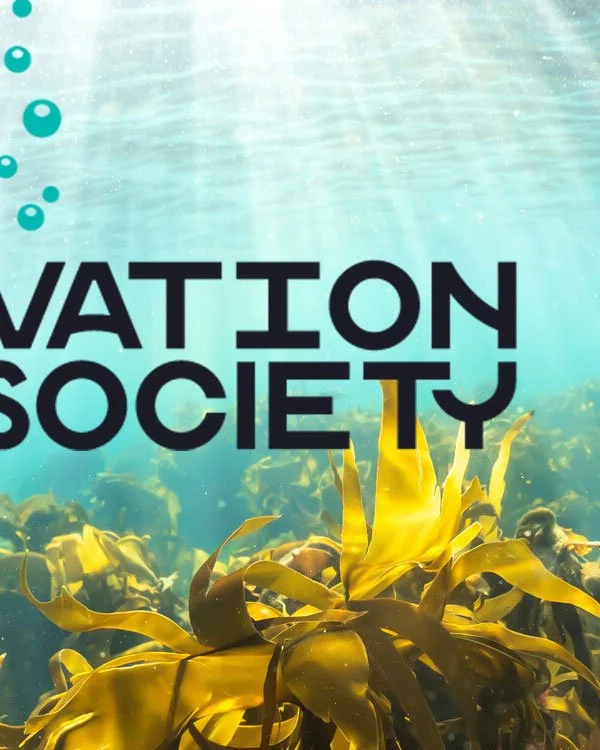 Proud to be a member of the Marine Conservation Society

Video and Photo Production
Urban, Rural, UK, Worldwide

Kelp---Credit-Alison-Moore
https://www.mcsuk.org

#photoproduction #videoproduction #productioncompany #serviceproduction #ukproductionco