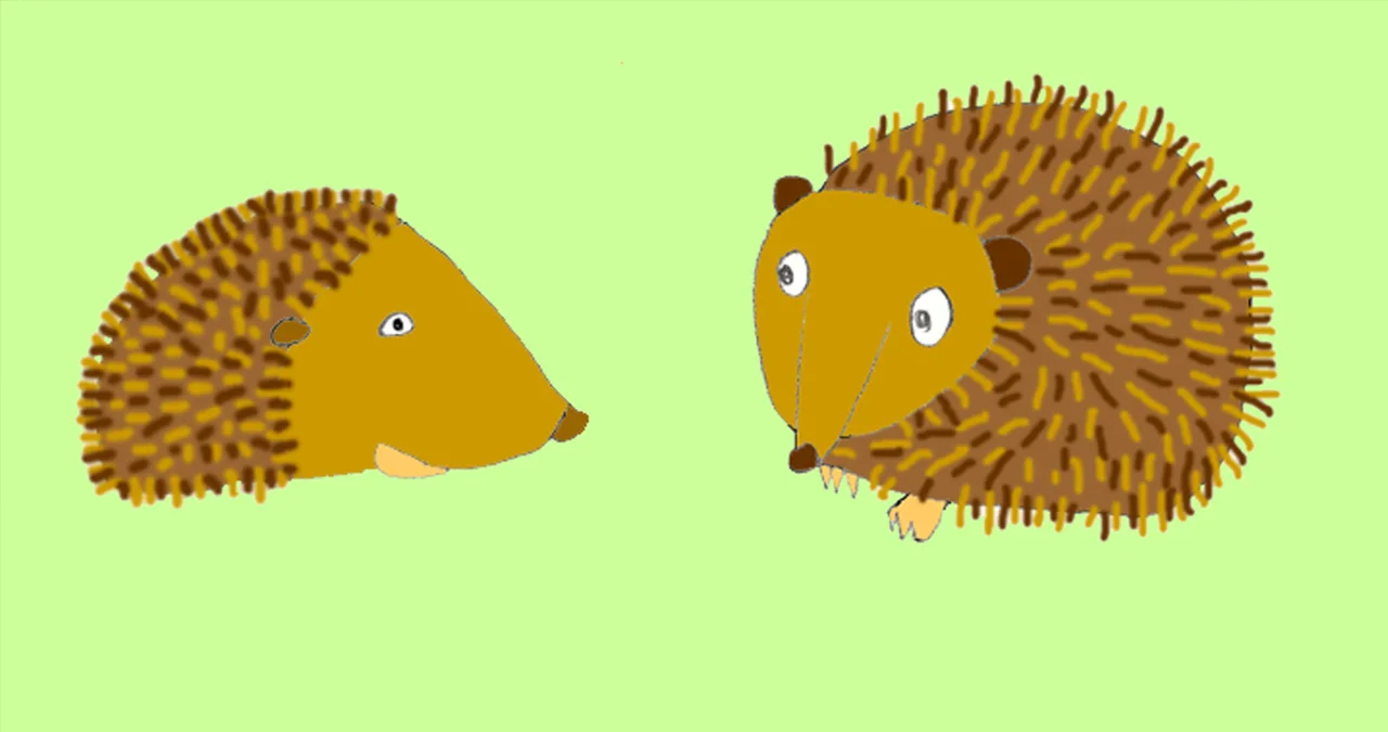 Two happy hedgehogs look at each other against a green background. A still from an animation called Prickly Pair.