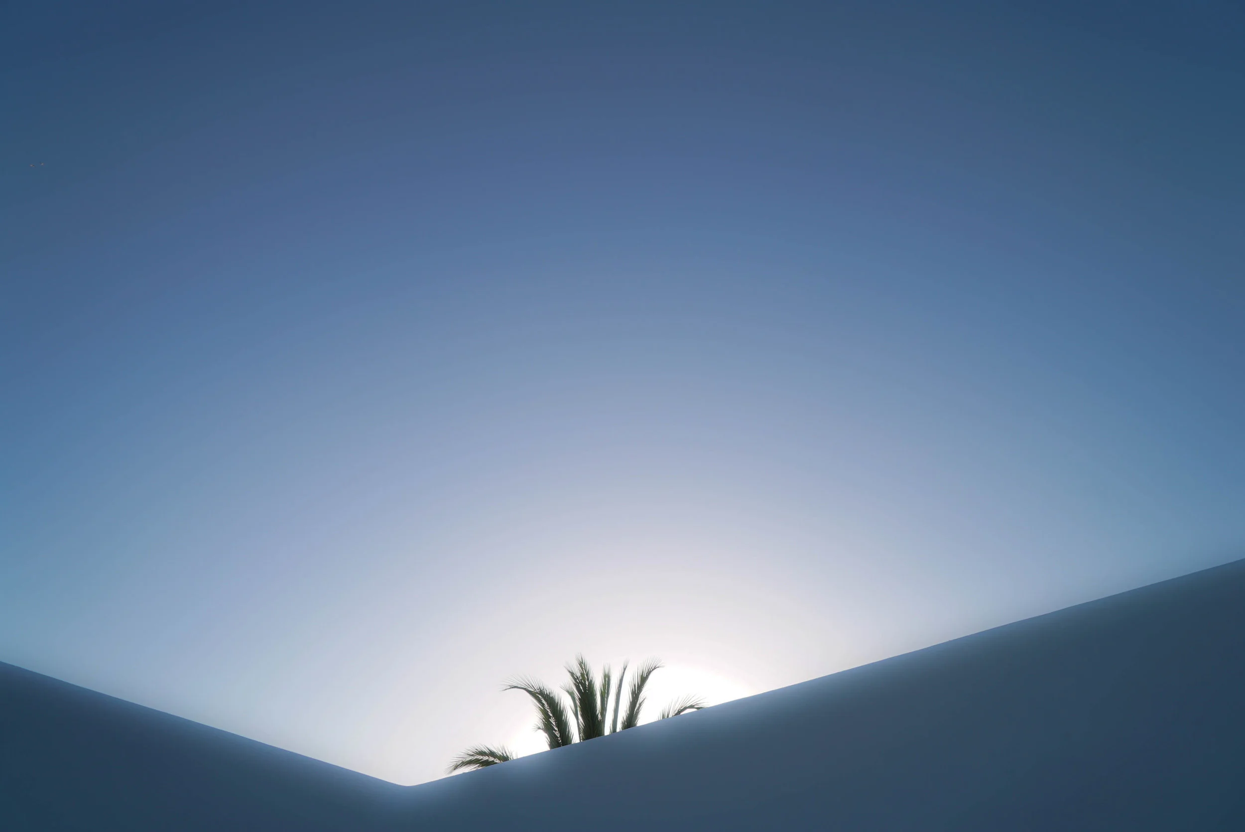 beefa tonal (1 of 1).jpg