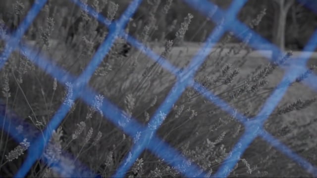 S E L F   P R O M O T I O N