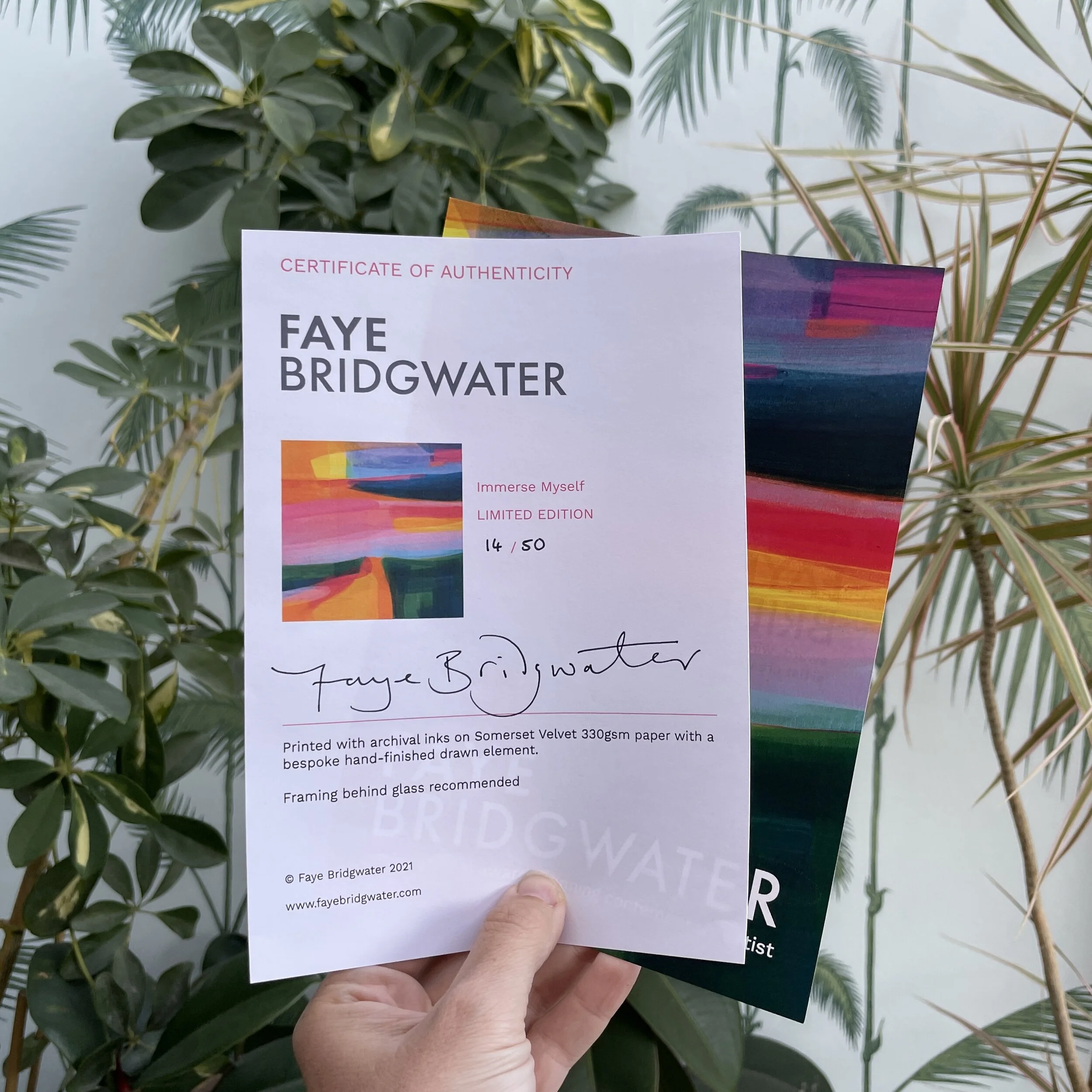 Faye Bridgwater - Certificate of Authenticity.jpg