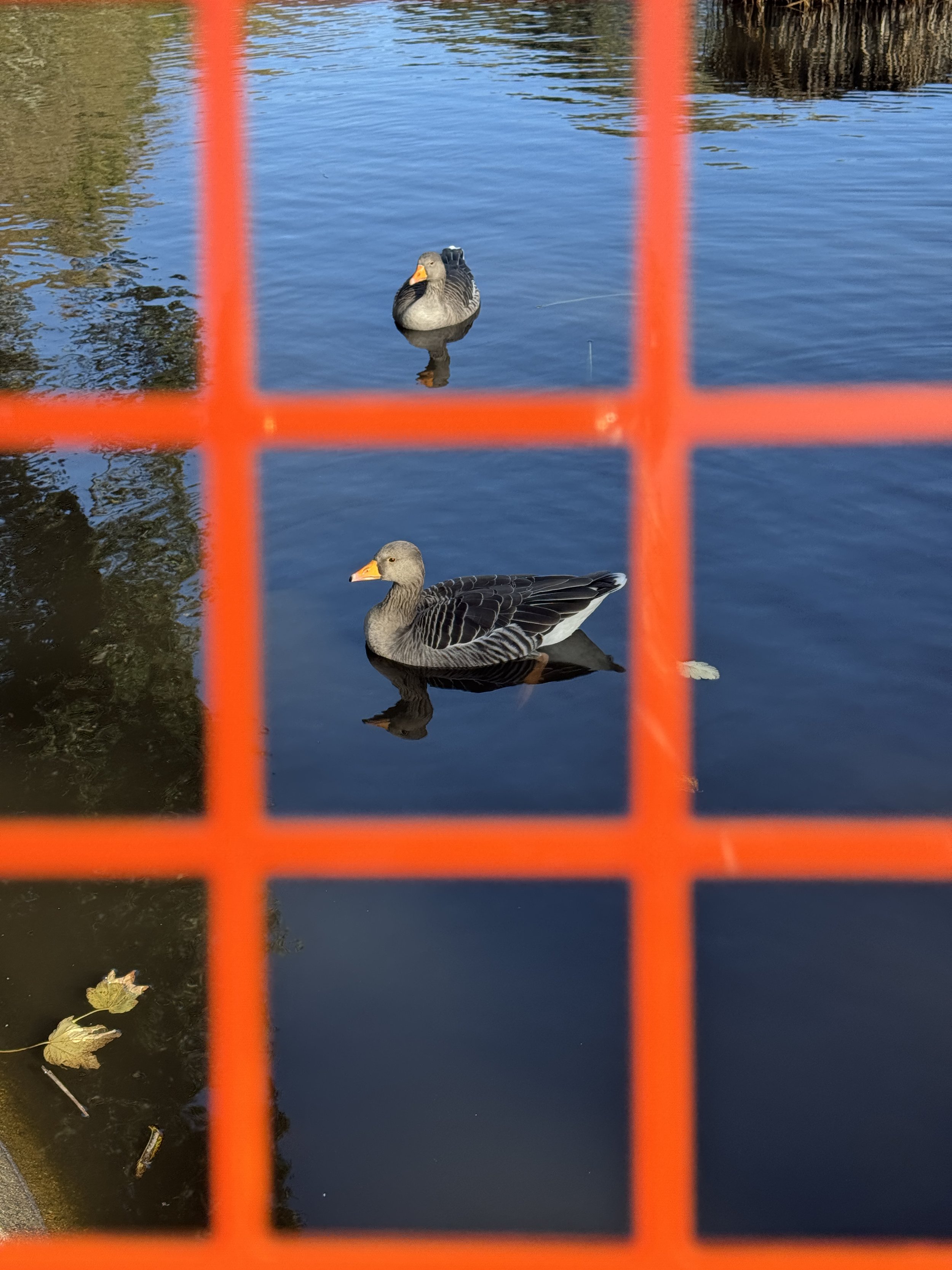 Day 3 - November Squares.JPG