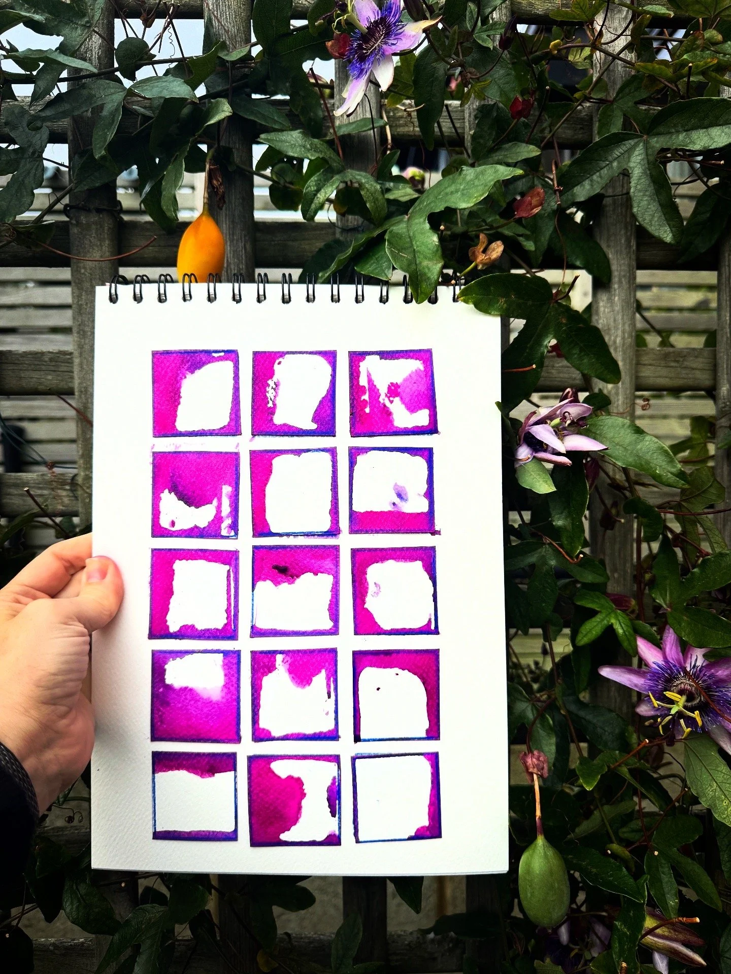 Day 5 - November Squares.JPG