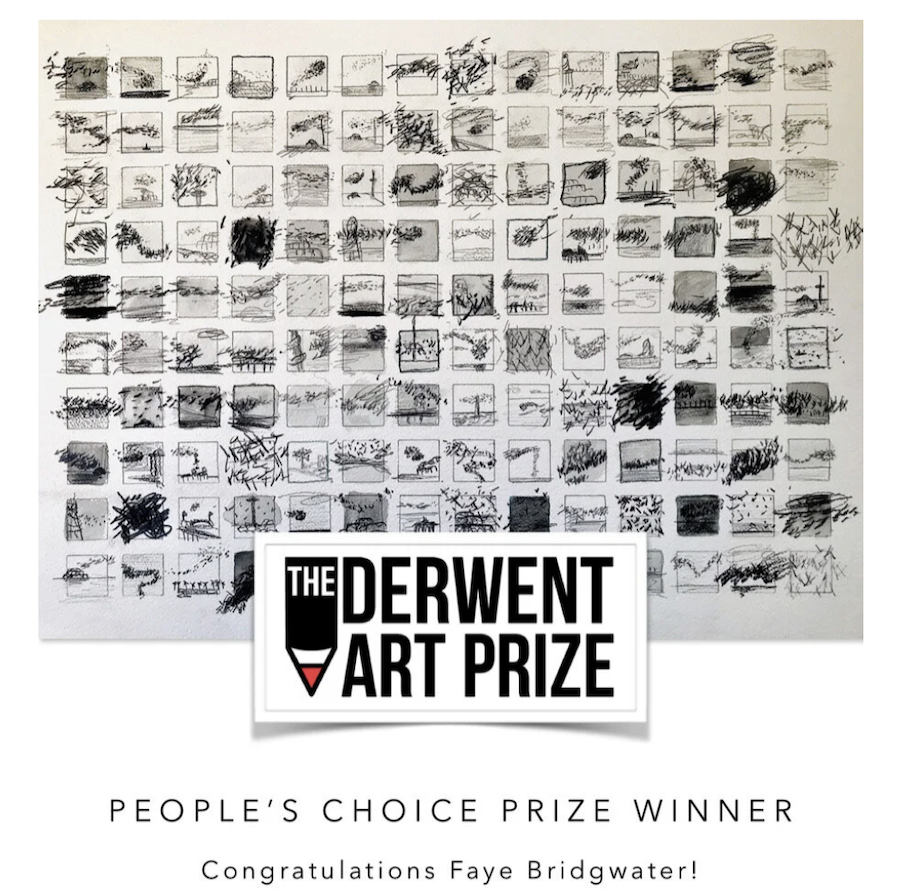 Winner of the Derwent Art Prize - People's Choice Award