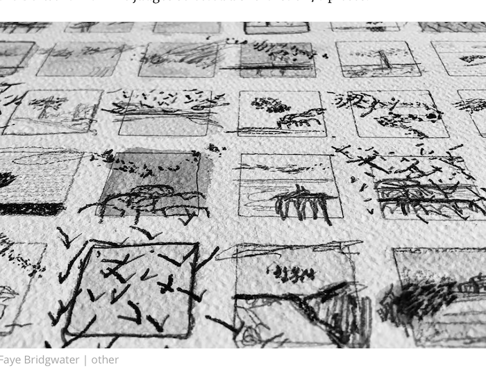 Faye Bridgwater's landscape studies of Sussex winning two major art prizes